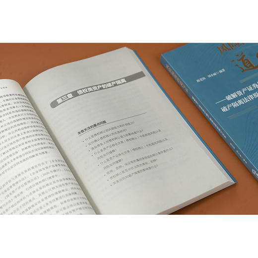 风险隔离的道与术——破解资产证券化中破产隔离法律原理与实务 路竞祎 刘小丽 法律出版社 商品图2