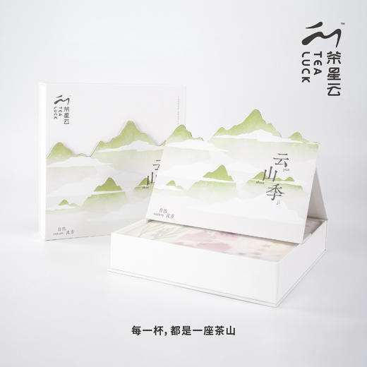 茶星云  新锐茶品牌  送礼自留  茶叶小清新  文创  独立包装 商品图0