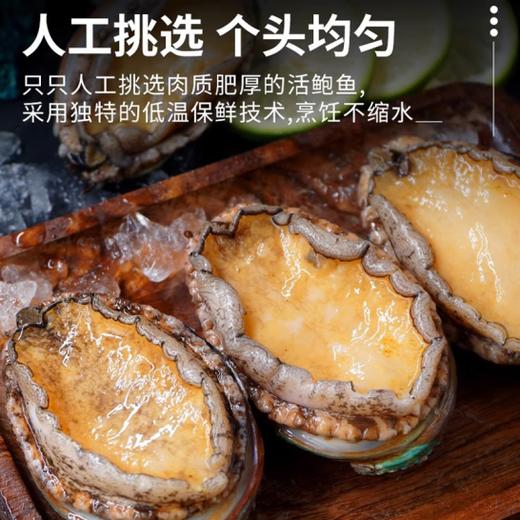 【超市】12头鲍鱼1个约30g 商品图1