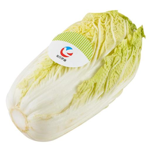 每日伊藤大白菜500g 商品图4
