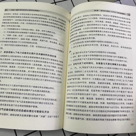 官网 双碳背景下电气科学与工程学科发展建议 双碳背景下电气科学与工程学科发展建议编写组 电气科学 工程学科 发展现状书籍 商品图4