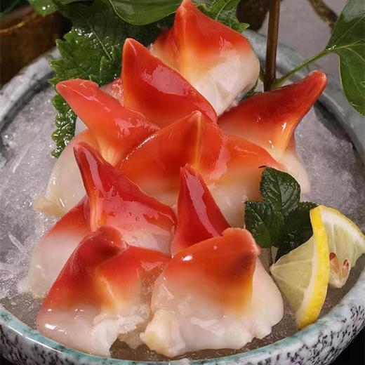 北极贝190±20g/盒~1kg 商品图2