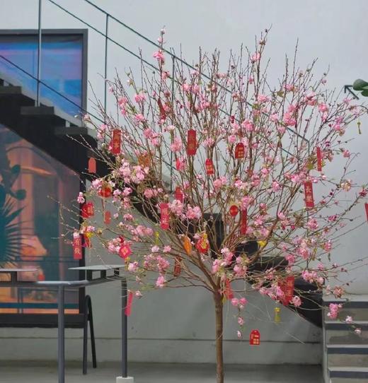 迎春接福——鲜切桃花（1支） 商品图0