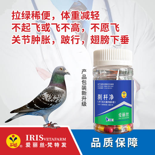 【爱丽丝】刹杆净（粉剂）/胶囊 商品图1