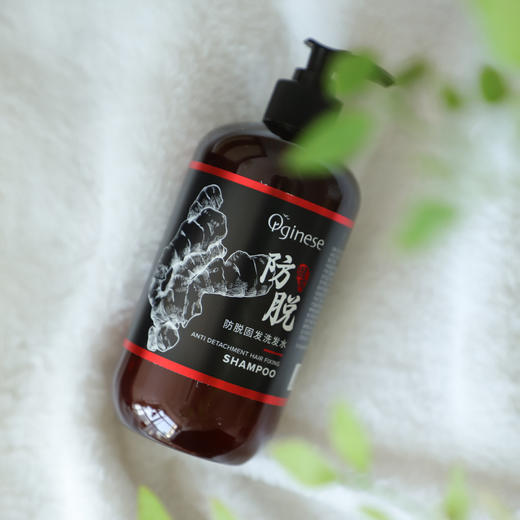 欧橘Orginese生姜洗发水 500ml/瓶 商品图2