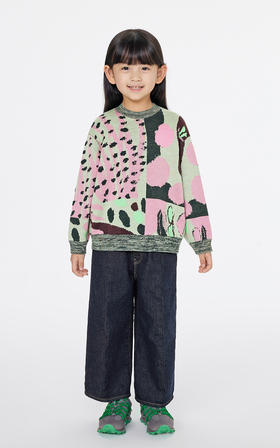 jnby   25年春款  长袖套头毛衫 1P1312080