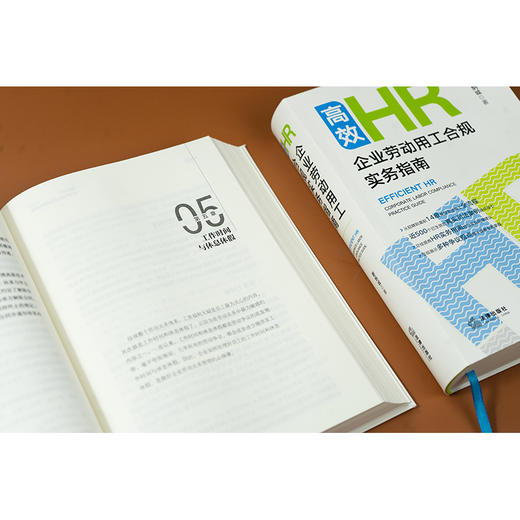 高效HR:企业劳动用工合规实务指南 谢炳城著 法律出版社 商品图4