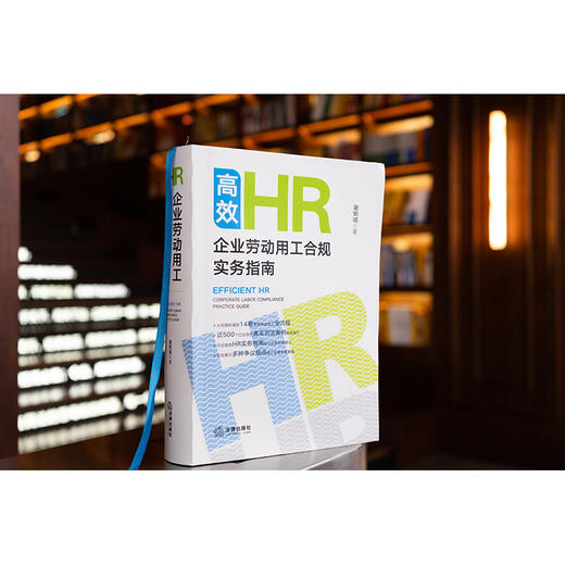 高效HR:企业劳动用工合规实务指南 谢炳城著 法律出版社 商品图0