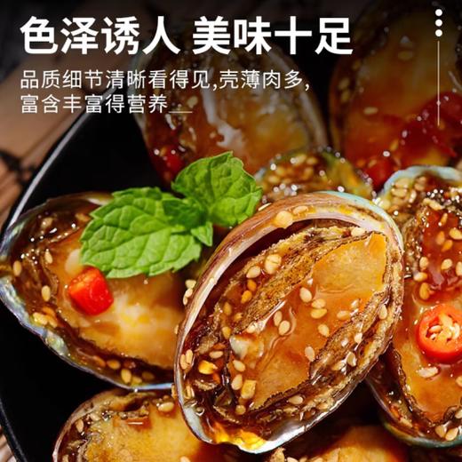 【超市】12头鲍鱼1个约30g 商品图2