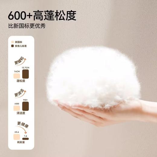 【御寒-5~5℃】女童时尚洋气长款羽绒服外套安奈儿童装EG345168 商品图3