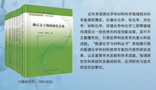 【全10册】能源化学与材料丛书 商品图0