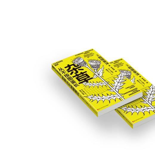 杂草从不按图鉴长 适用于男女老少、具有普遍性的生活方式指南 商品图3