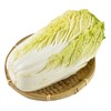 每日伊藤大白菜500g 商品缩略图1