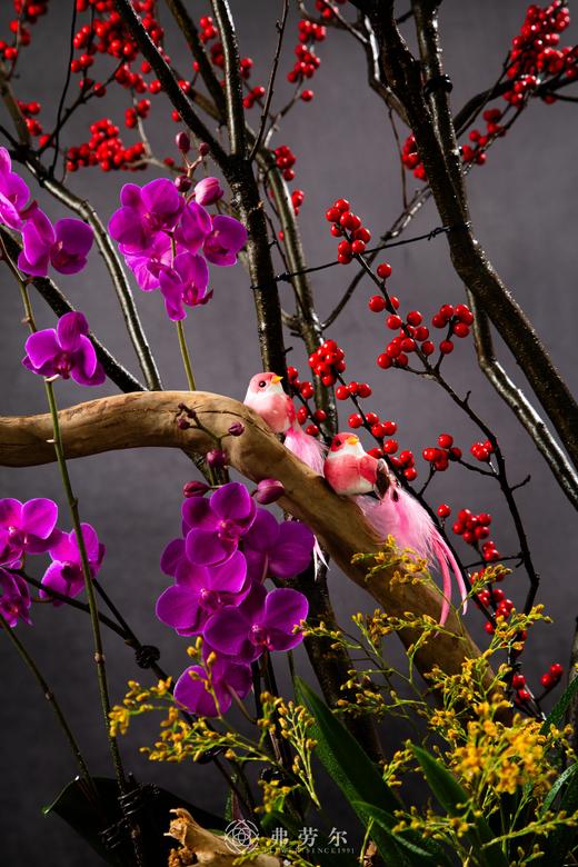 25年 年宵花 组合植物--冬青 商品图2