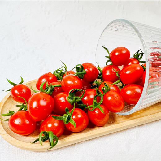 【釜山88玲珑小番茄】果皮薄脆，果肉细腻紧实，每一口都甜到心坎里 果味浓郁 一口爆汁 小番茄界的天花板 商品图5