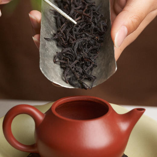 2025新茶 | 凤凰单丛桂花香96g 核心产地 凤凰水仙群体种 手采手制 慢火炭焙 三联生活周刊出品 商品图5