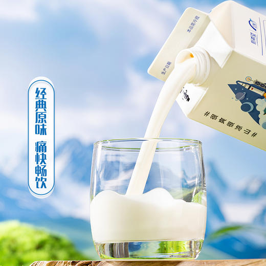 凉山雪大盒装500ml*6瓶组合装整箱整件 商品图3