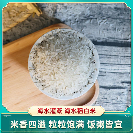 海大红海水稻白米十斤装 商品图3