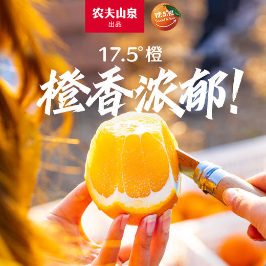 农夫山泉 17.5橙 脐橙/橙子 净重10斤装 铂金果 生鲜水果年货礼盒 商品图3