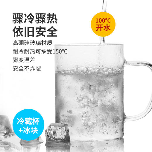 雅集玻璃杯绅士杯400ml（不锈钢木盖款） 商品图5
