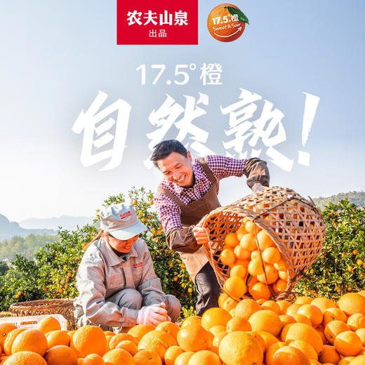 农夫山泉 17.5橙 脐橙/橙子 净重10斤装 铂金果 生鲜水果年货礼盒 商品图2