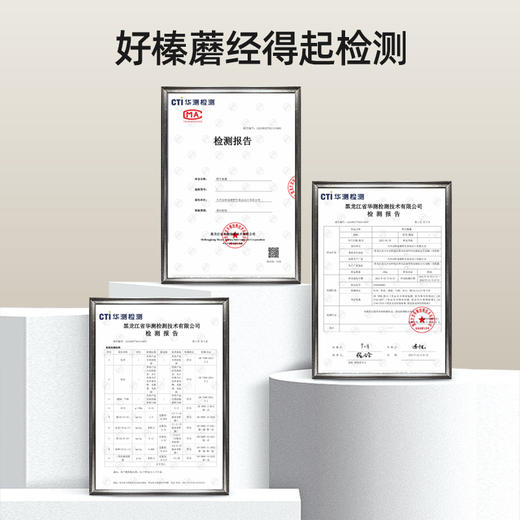 ⁴【自然中的植物蛋白】大兴安岭野生榛蘑 自然晾晒 森林中手工采摘 170g/份YC04-CR-YKSC【白桦树采汁】 商品图1