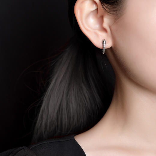 S925纯银光面精致灵蛇耳环CW 商品图3