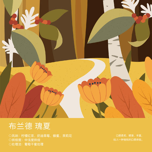 布兰德瑰夏 商品图0