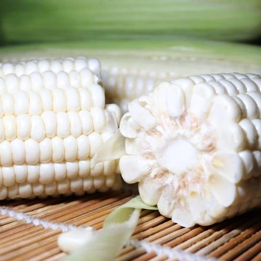 【困妈专属】广东好物 牛奶水果玉米  带箱4斤装  顺丰直达 商品图2