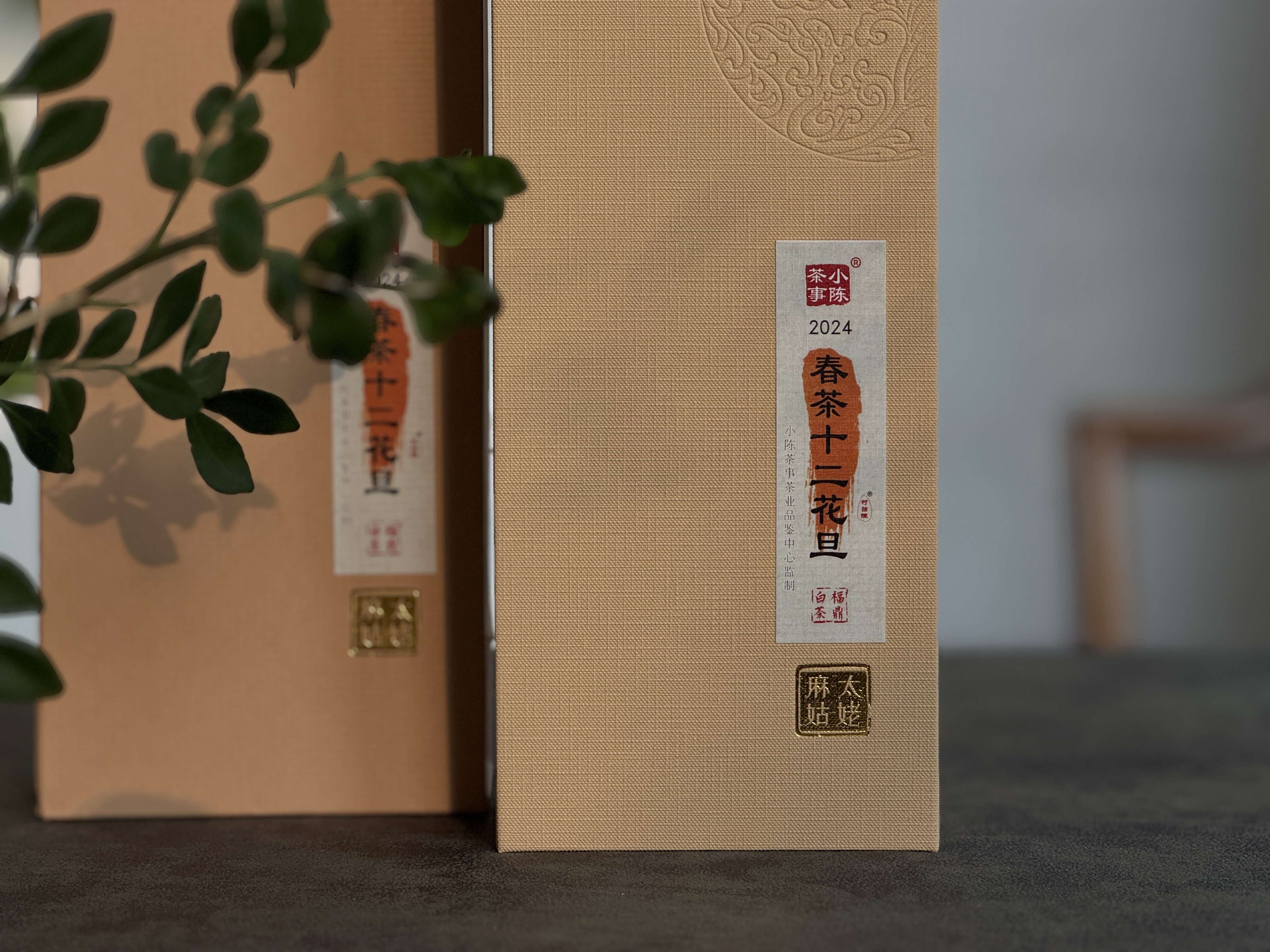 【春茶品鉴手册】2024《春茶十二花旦》，优选十二款春白茶，十二道风味，让你读懂2024春白茶！