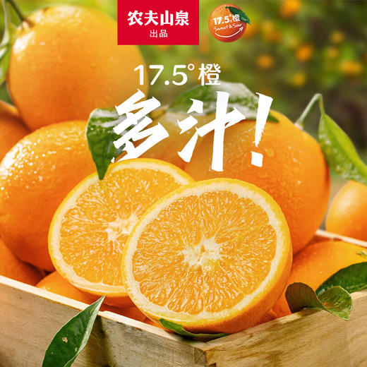 农夫山泉 17.5橙 脐橙/橙子 净重10斤装 铂金果 生鲜水果年货礼盒 商品图1