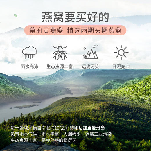 蔡府印尼贡燕盏100g 商品图4