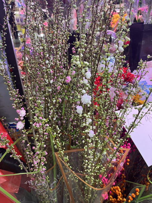 鲜花全部特级品，杆子粗，花期长 商品图3