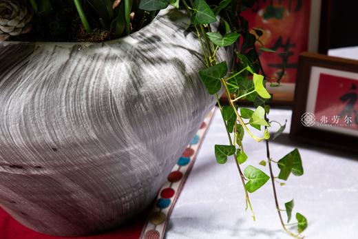 珠还蛇舞来 商品图5