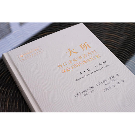大所：现代律师事务所的商业关切和职业价值 [美]米特·里根 [美]丽莎·罗勒著  王进喜 李华译 法律出版社 商品图2