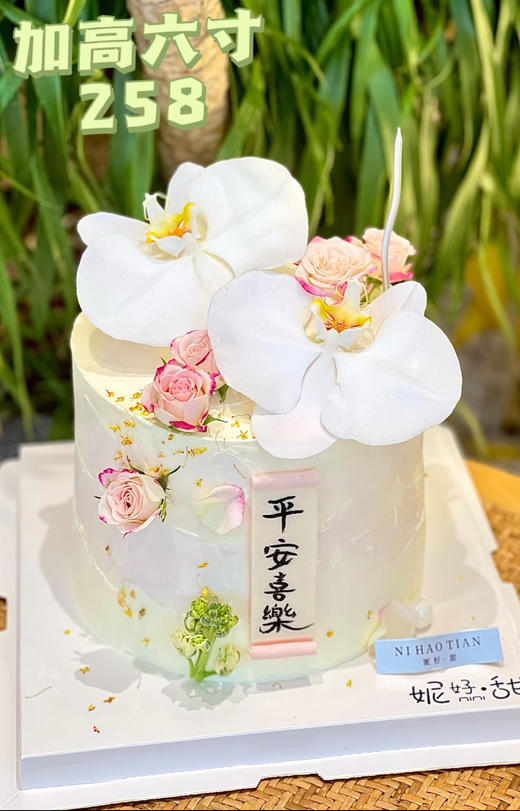 纯洁的蝴蝶兰 商品图0