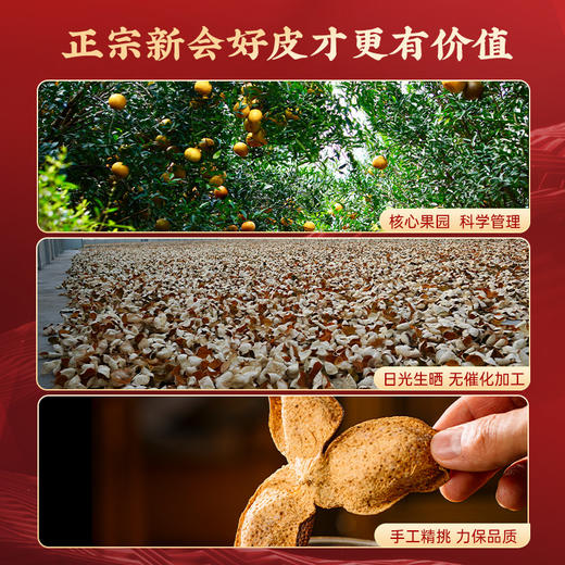 【秋冬润养】澜沧古茶2019年五年陈正宗新会陈皮250g 商品图3
