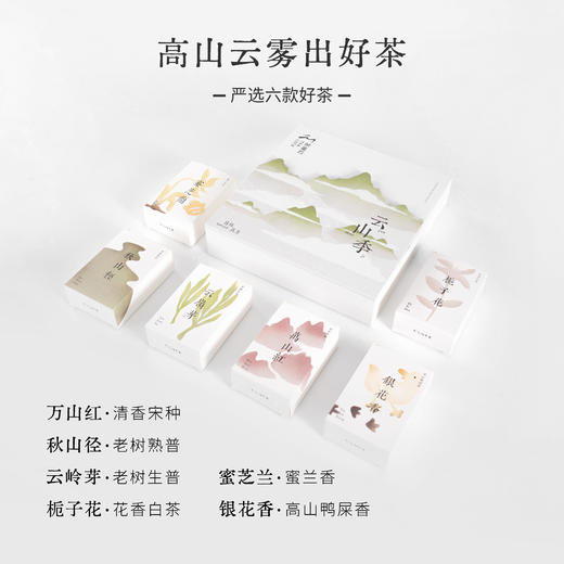 茶星云  新锐茶品牌  送礼自留  茶叶小清新  文创  独立包装 商品图3
