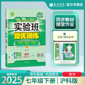 2025春【沪科版】七年级数学(下) 实验班提优训练