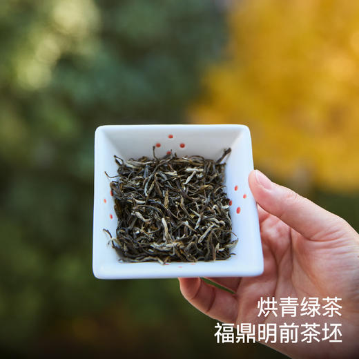 饱记六窨茉莉花茶小金罐正宗福州茉莉花茶古法窨制 商品图2