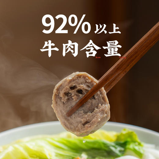 潮汕集锦牛肉丸 商品图4