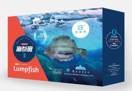 【包邮】丨团购·年货集·鱼说海·海参斑礼盒（2条装）6-8斤/盒149元丨下单后3日内发货 商品图0