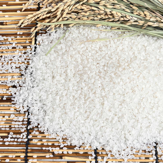 「5斤装！生态香米」东北生态米5斤五常农家大米稻香米口感劲道圆粒米24新米现磨粮油米面 商品图3