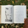 1.22-2.4春节预售《文心》叶圣陶私章版 商品缩略图6