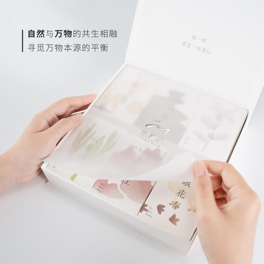 茶星云  新锐茶品牌  送礼自留  茶叶小清新  文创  独立包装 商品图1