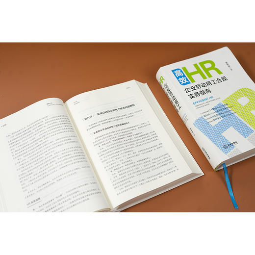 高效HR:企业劳动用工合规实务指南 谢炳城著 法律出版社 商品图6