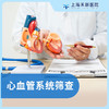 心血管系统筛查（内科） 商品缩略图0