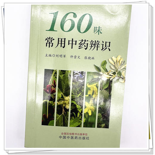 160味常用中药辨识 刘明军 张晓林 仲崇文 主编 中国中医药出版社 彩图 口袋版 书籍 商品图3