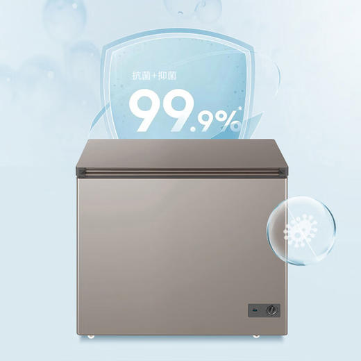 海尔（Haier）227升冰柜_BC/BD-227GHPCD 商品图5