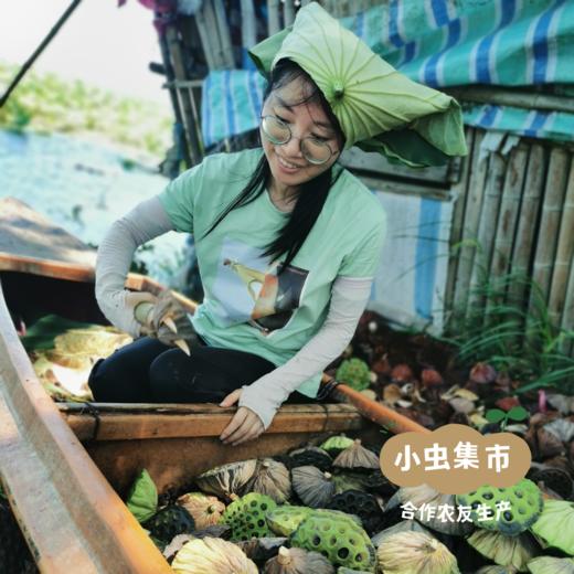 野生有机红莲子 300g/罐 | 合作农友生产，产自湖南岳阳君山，生产者：慧耕 &【公平贸易农人定价】 商品图11